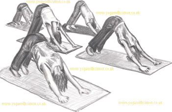 yoga sketch - downward facing dog